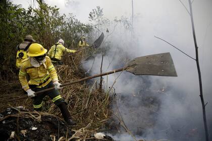 Los brigadistas combaten las llamas en la Reserva Nacional de Jacundá, en el estado de Roraima