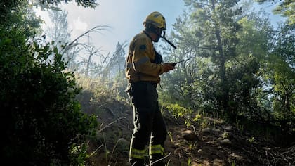 Los brigadistas mantienen una guardia de cenizas en el cerro Otto