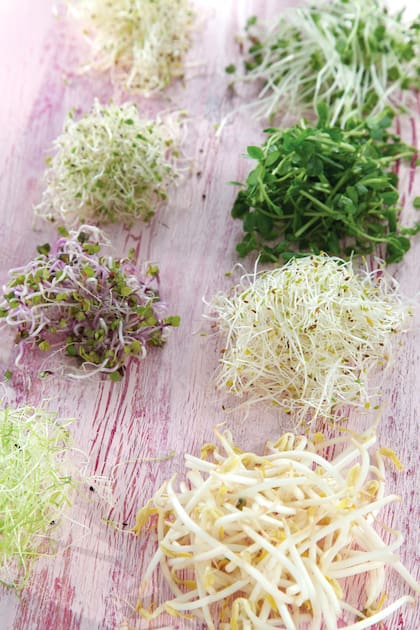 Los brotes y microverdes son un ingrediente versátil y saludable que puede realzar la textura y sabor de una gran variedad de platos