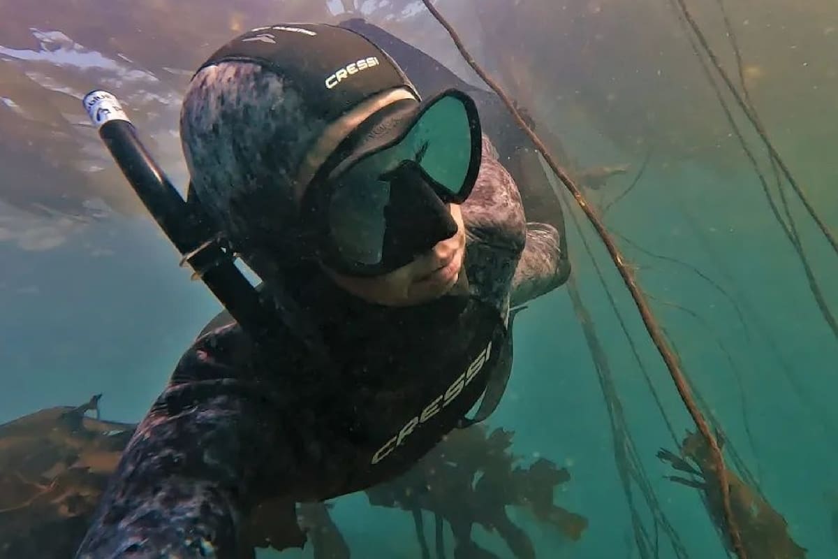 Los buzos se aventuraron, como en otras ocasiones, sin pensar que encontrarían a un tiburón poco común