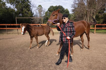 Los caballos son otra de sus grandes pasiones. En la imagen, Miguelito paseando a Queen y Storm, dos ejemplares Cuarto de Milla que su hija Paola cría en la chacra.