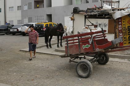 Los caballos suelen ser usados para transportar cargas pesadas