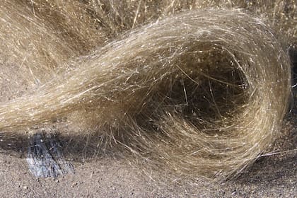 Los "cabello de Pelé" son hebras de vidrio volcánico formadas por la explosión de burbujas de lava