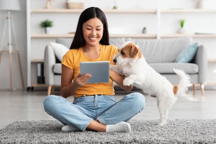 Los cachorros no reconocen a los humanos como sus padres o madres, entienden que son especies diferentes