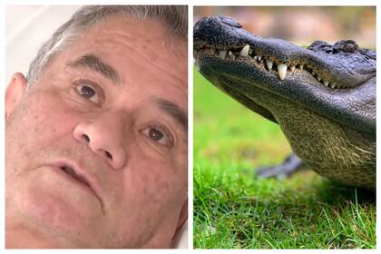 Los caimanes se encuentran desde el sureste de Oklahoma y el este de Texas, hasta Carolina del Norte y Florida