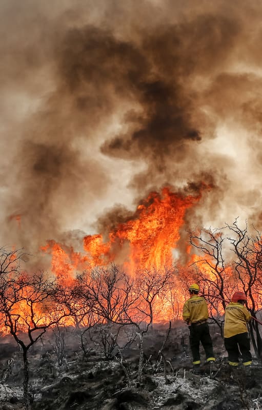 Los cambios en el clima que conduzcan a condiciones aún más extremas podrían afectar al sector del turismo; este año, se evidencia en un verano europeo anormalmente turbulento, con calor extremo e incendios