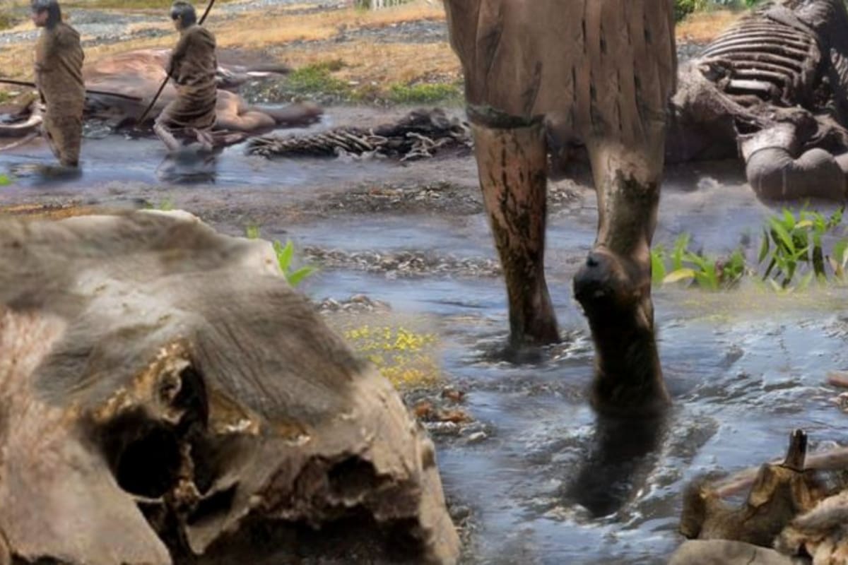 Los cambios en los patrones climáticos contribuyeron al desarrollo de la especie humana