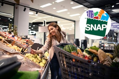 Los cambios incluidos en el programa piloto de SNAP en Florida estarán vigentes por dos años