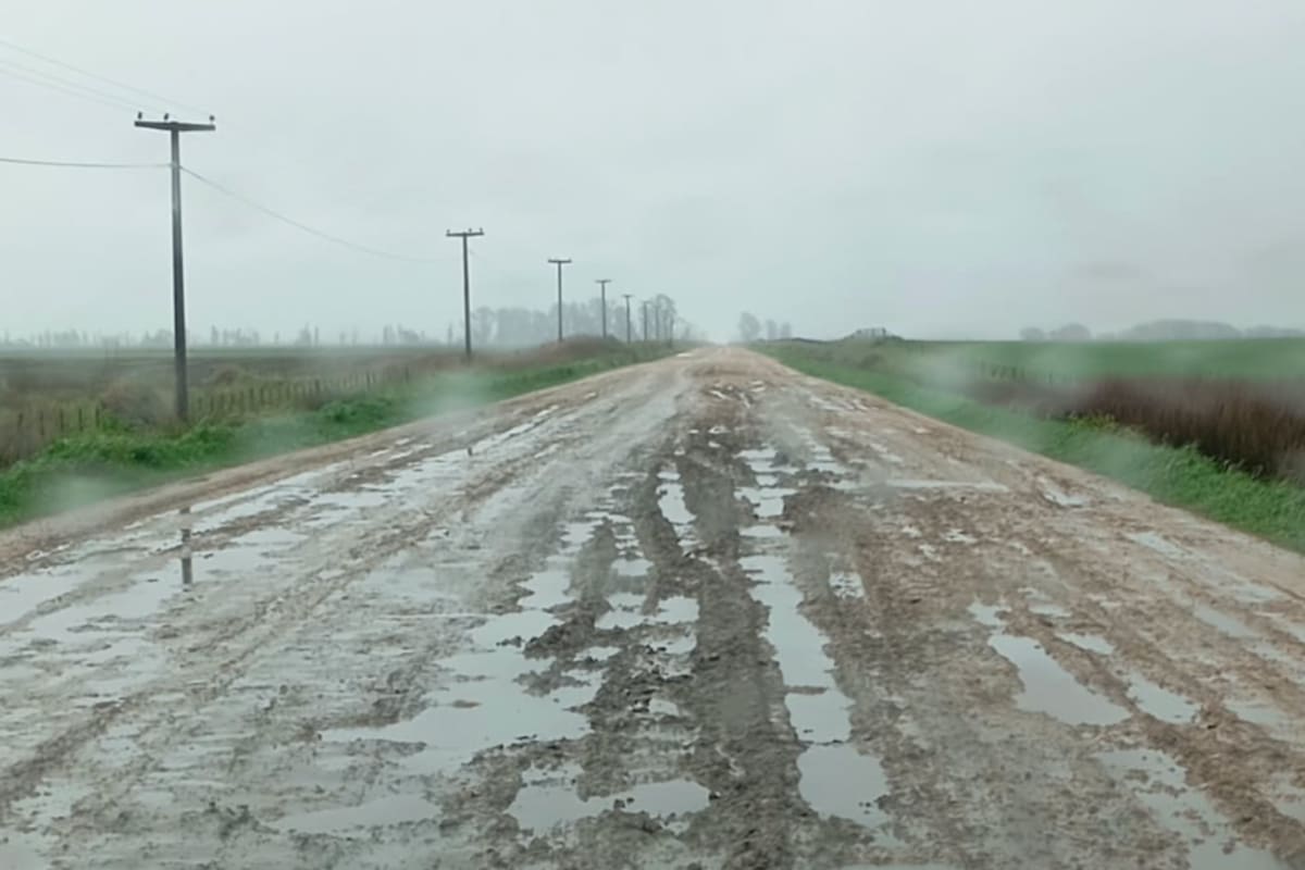 Los caminos rurales, en el foco de atención