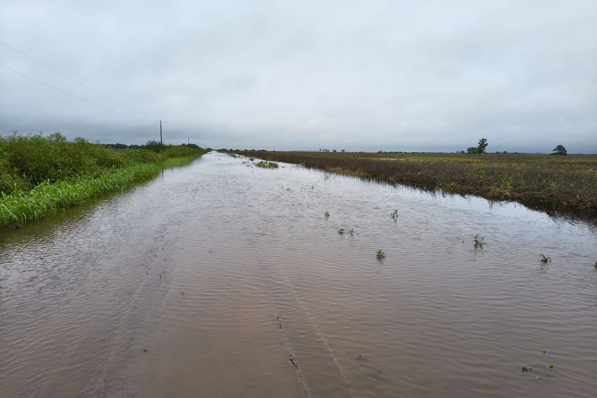Los caminos rurales quedaron bajo el agua y en muchos casos se volvieron intransitables, lo que deja a productores aislados y sin salida para la producción