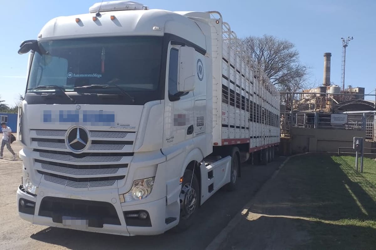 Los camioneros que transportan hacienda viven a diario con la inseguridad, donde deben pagar peajes y dar propinas forzosas en los alrededores de los frigoríficos
