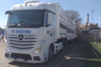 Los camioneros que transportan hacienda viven a diario con la inseguridad, donde deben pagar peajes y dar propinas forzosas en los alrededores de los frigoríficos