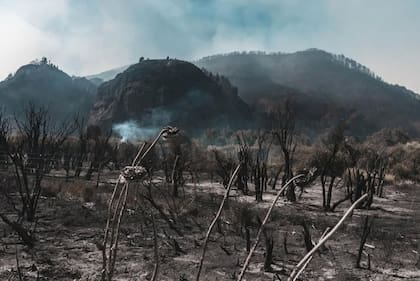 Los campos carbonizados en la zona de Quillén