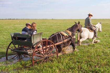 Los campos de Ceibas se recorren a caballo.