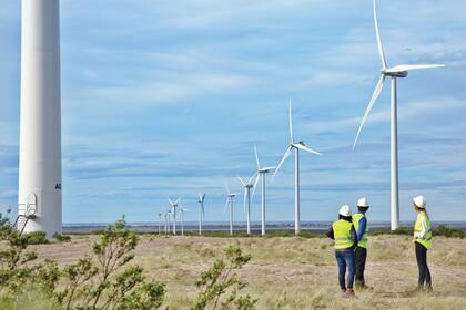 Los campos de energía eólica, como el de Trelew, son un nuevo paradigma
