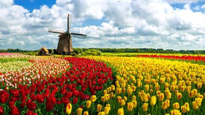 Holanda adoptó el nombre de Países Bajos para representar a todas las zonas del país