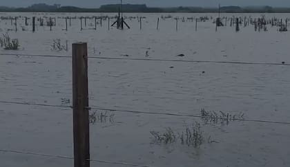 Los campos del centro y sur de la provincia atraviesan una enorme inundación