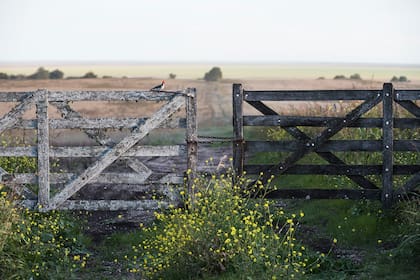 Los campos ya pagan la tasa de red vial y el inmobiliario rural, con lo cual alertan que si pasaran a pagar Bienes Personales tendrían una triple imposición