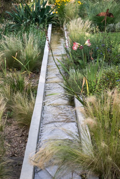 Los canales de drenaje desaceleran el flujo del agua y favorecen su absorción por el terreno