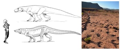 Los candidatos tenidos en cuenta para reconocer a los autores de las huellas en Ruditayoj (Historical Biology)