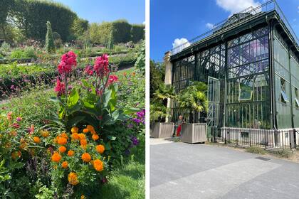 Los canteros presentan un nutrido despliegue de herbáceas anuales, perennes y bulbosas. A la derecha, uno de los grandes invernaderos del Jardín de las Plantas
