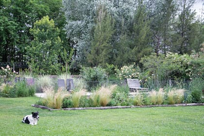 Los canteros silvestres lucen en todas las épocas del año. Se destacan numerosas gramíneas como miscantus, panicum, penisetum, calamagrostis y varias nativas como campulocliniums y solidagos.