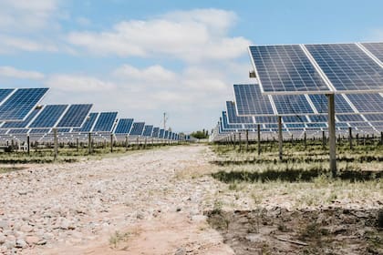 Los capitales para proyectos con propósito llegan en el mundo a US$715.000 millones y crecen al 17% anual; qué planes hay frente al Covid-19, qué pasa en el país y cuál es el riesgo del "lavado de imagen"