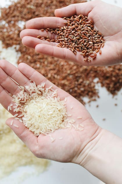Los carbohidratos son la fuente principal de energía para el cuerpo y se almacenan en los músculos y el hígado en forma de glucógeno