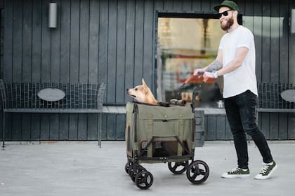 Los carritos para perros no están recomendados, salvo excepciones como discapacidad o edad avanzada