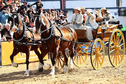 Los carruajes de época, una pasión de Mariana Dasso, que participa de competencias
