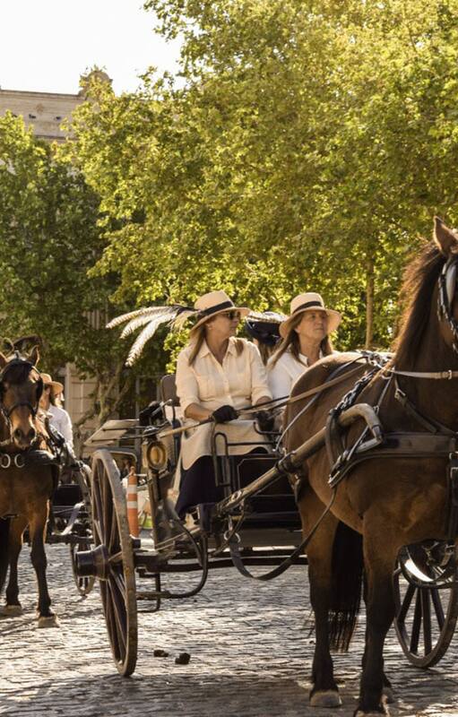 Los carruajes en la plaza de Areco