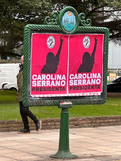 Los carteles de "Carolina Serrano presidenta"