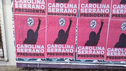 Los carteles de "Carolina Serrano presidenta"