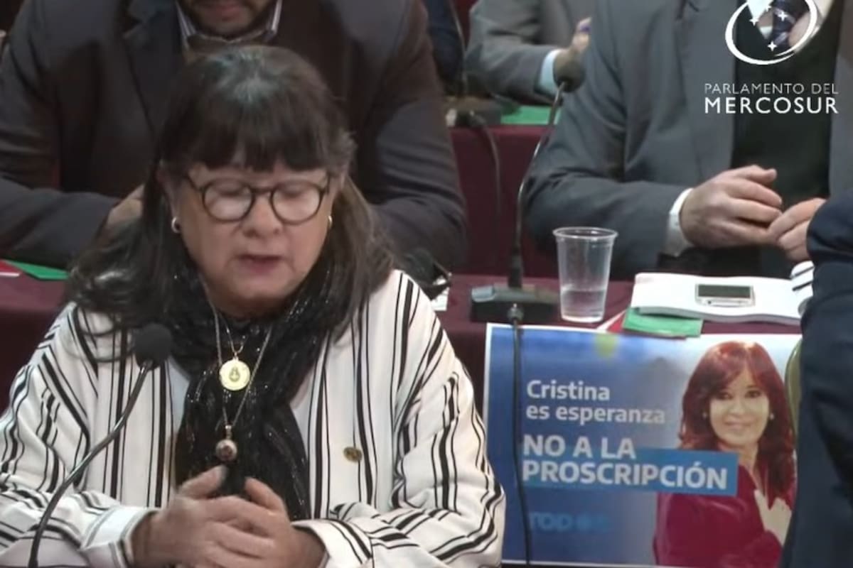 Los carteles de Cristina Kirchner en el Parlasur