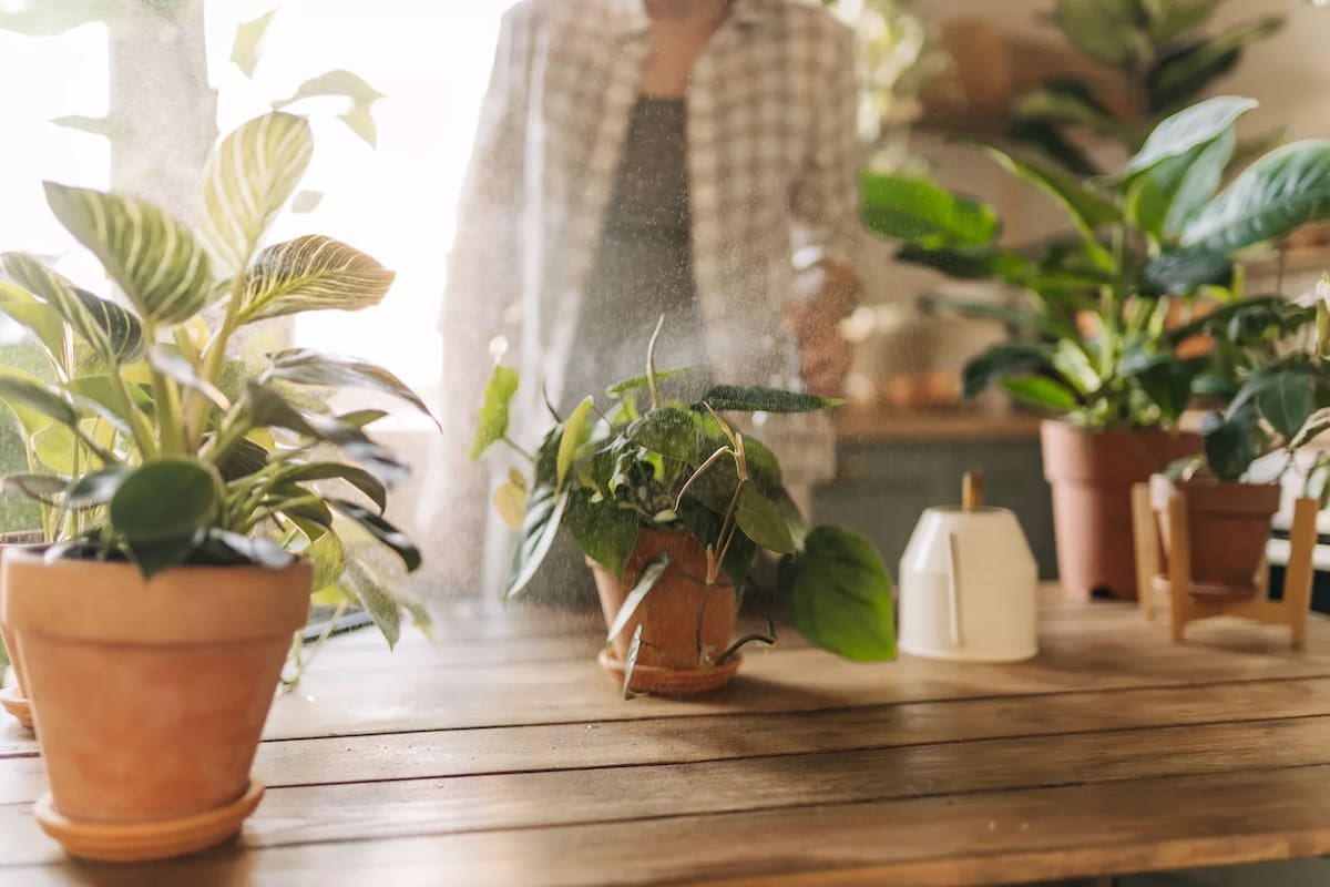 Los caseros reciben este mes el aumento del último tramo del acuerdo paritario (Imagen de carácter ilustrativo)