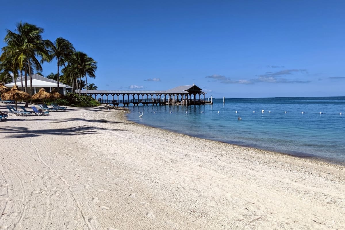 Los Cayos de Florida son un destino ideal para los amantes de la naturaleza