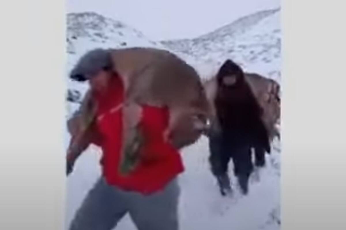 Los cazadores furtivos podrían ser multados por hasta 85.000 pesos