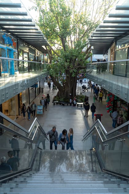 Los CCS, como Nuevo Quilmes Plaza, priorizan en su tenant mix: gimnasio, centro de salud, banco, supermercado, farmacia, ferretería y pinturería, belleza, tiendas de productos especializadas, entre otros