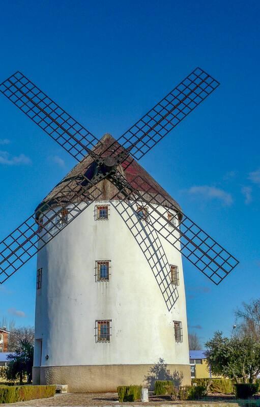 Los célebres molinos quijotescos. Aquí, en Alcázar de San Juan.
