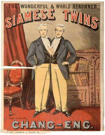 Los "célebres siameses Chang y Eng", espectáculo de feria