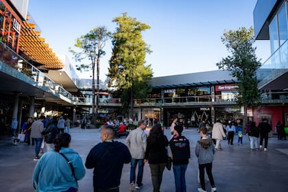 Los Centros Comerciales de Servicios son un concepto más nuevo, pero que comenzó a sumar adeptos