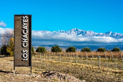 Los Chacayes, Mendoza.