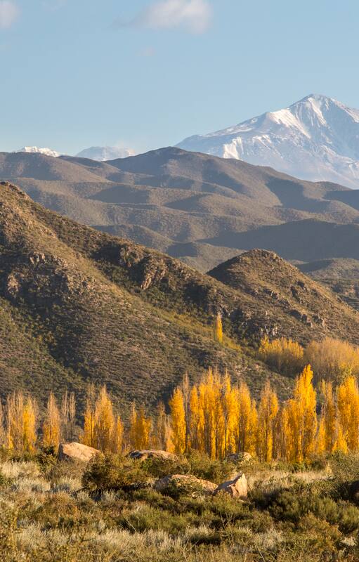 Los Chacayes, Tunuyán, Mendoza.