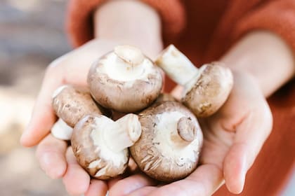 Los champiñones blancos aportan una cantidad suficiente de vitamina D al organismo (Pexels/RDNEStockproject)