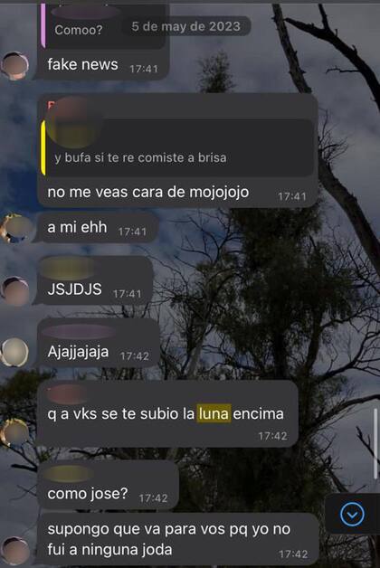 Los chats entre los alumnos de una escuela de La Boca