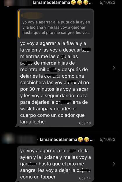 Los chats entre los alumnos de una escuela de La Boca
