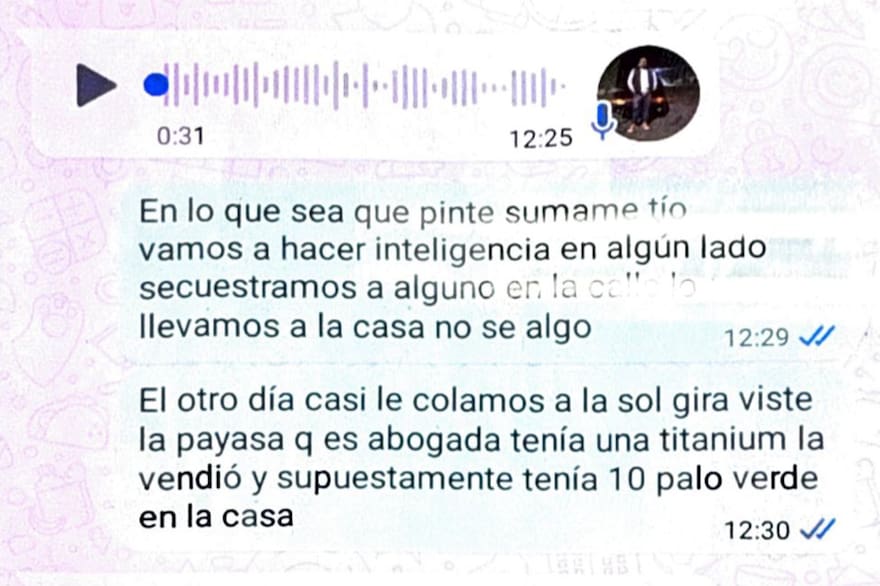 La caída de la banda de barrabravas que robaba techos solares de autos ...