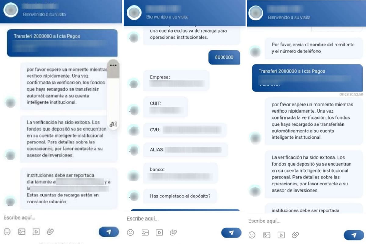 Golpes online: a ‘gangue chinesa’, aplicativo de investimento falso e US$ 8 milhões em criptomoedas apreendidas