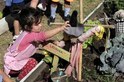 Los chicos del jardín de infantes utilizan la huerta como un "aula a cielo abierto".