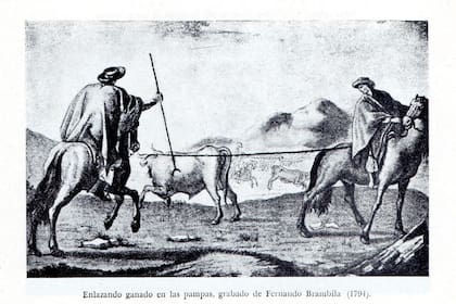Los chinchulines en los libros de historia